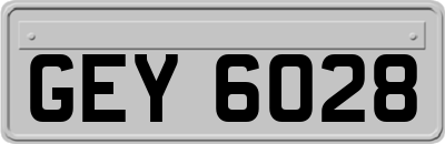 GEY6028