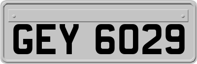 GEY6029