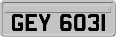 GEY6031
