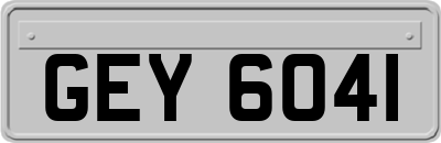 GEY6041