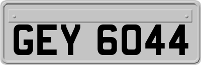 GEY6044