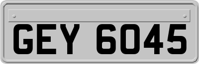 GEY6045