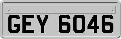 GEY6046