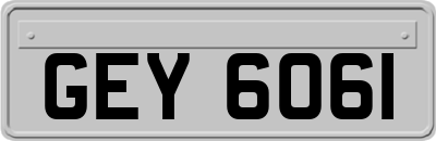GEY6061