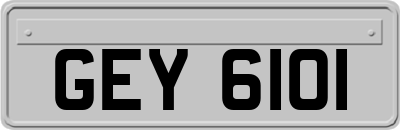 GEY6101