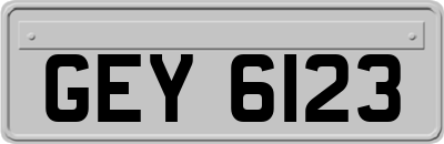 GEY6123