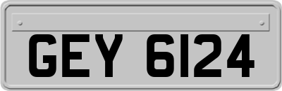 GEY6124