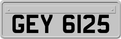 GEY6125