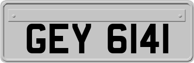 GEY6141