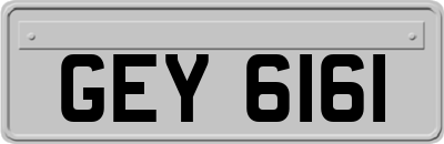 GEY6161