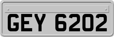 GEY6202