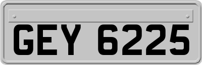 GEY6225