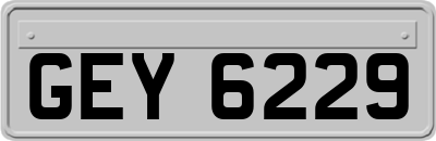 GEY6229