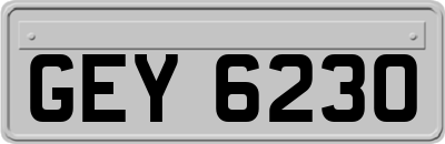 GEY6230