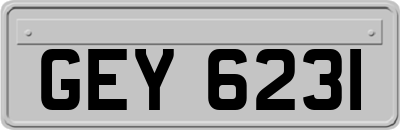 GEY6231