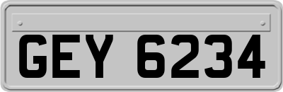 GEY6234
