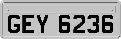 GEY6236