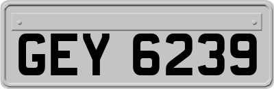 GEY6239