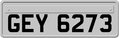 GEY6273