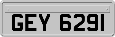 GEY6291