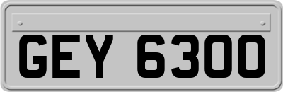 GEY6300