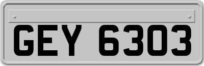 GEY6303