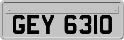 GEY6310