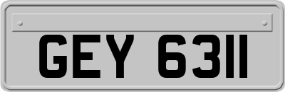 GEY6311