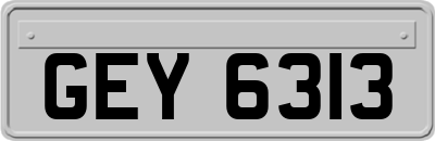 GEY6313