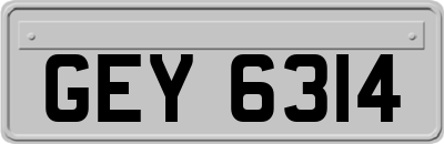 GEY6314