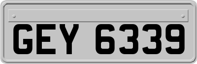 GEY6339