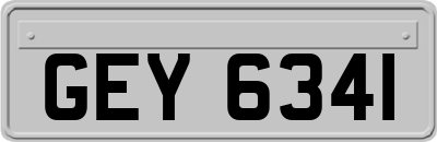 GEY6341