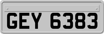GEY6383