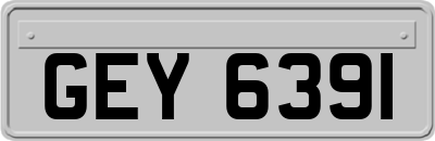 GEY6391