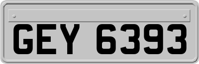 GEY6393