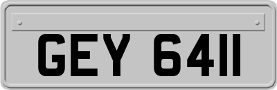 GEY6411
