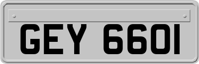 GEY6601