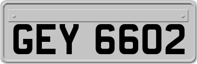GEY6602