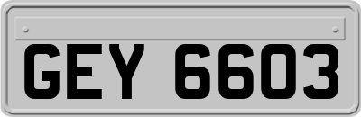 GEY6603
