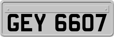 GEY6607