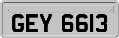 GEY6613