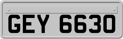 GEY6630