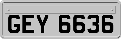 GEY6636