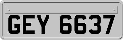 GEY6637