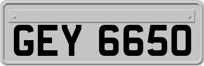 GEY6650