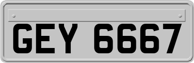 GEY6667