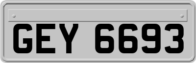 GEY6693