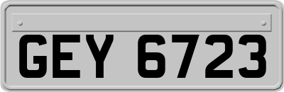 GEY6723