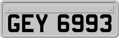 GEY6993