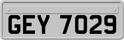 GEY7029